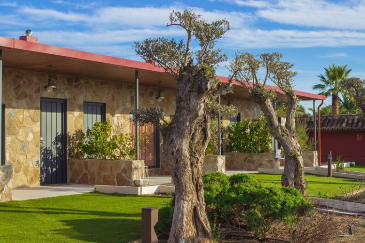 bungalows-detalle-terraza